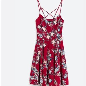 Reign Back Detail Brushed Knit Dress